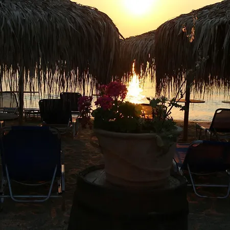Delfinario Hotel *