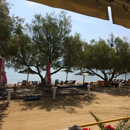 Delfinario Hotel *