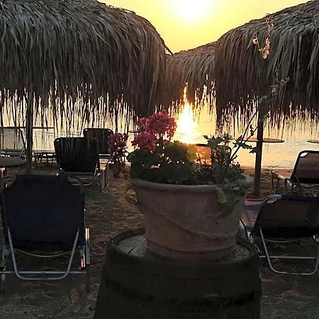 Hotel Delfinario *